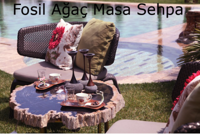 fosil ağaçlar